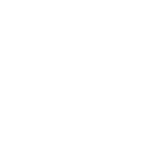 Dhiamandi Studio Logo White